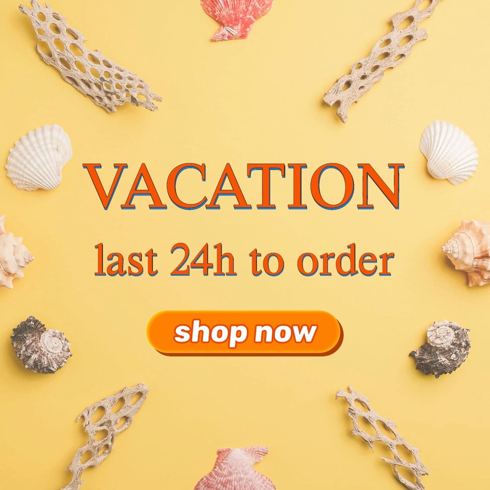 ⭐️Going on Vacation: LAST 24h-48h to order⭐️
